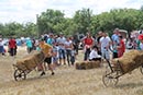 16. Őseink Zenéje 2018. január 20. Szenttamás